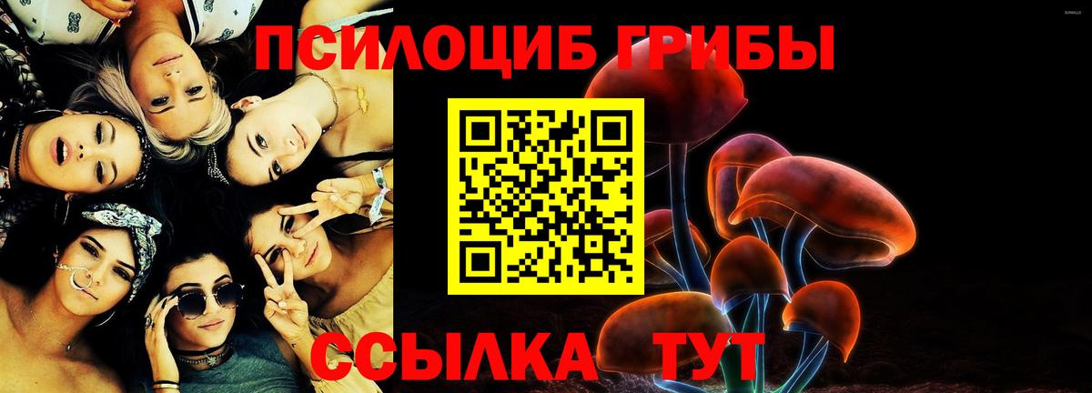 Псилоцибиновые грибы Psilocybine cubensis  Вход с VPN  как найти закладки  Псилоцибиновые грибы Psilocybine cubensis  Усть-Кут 